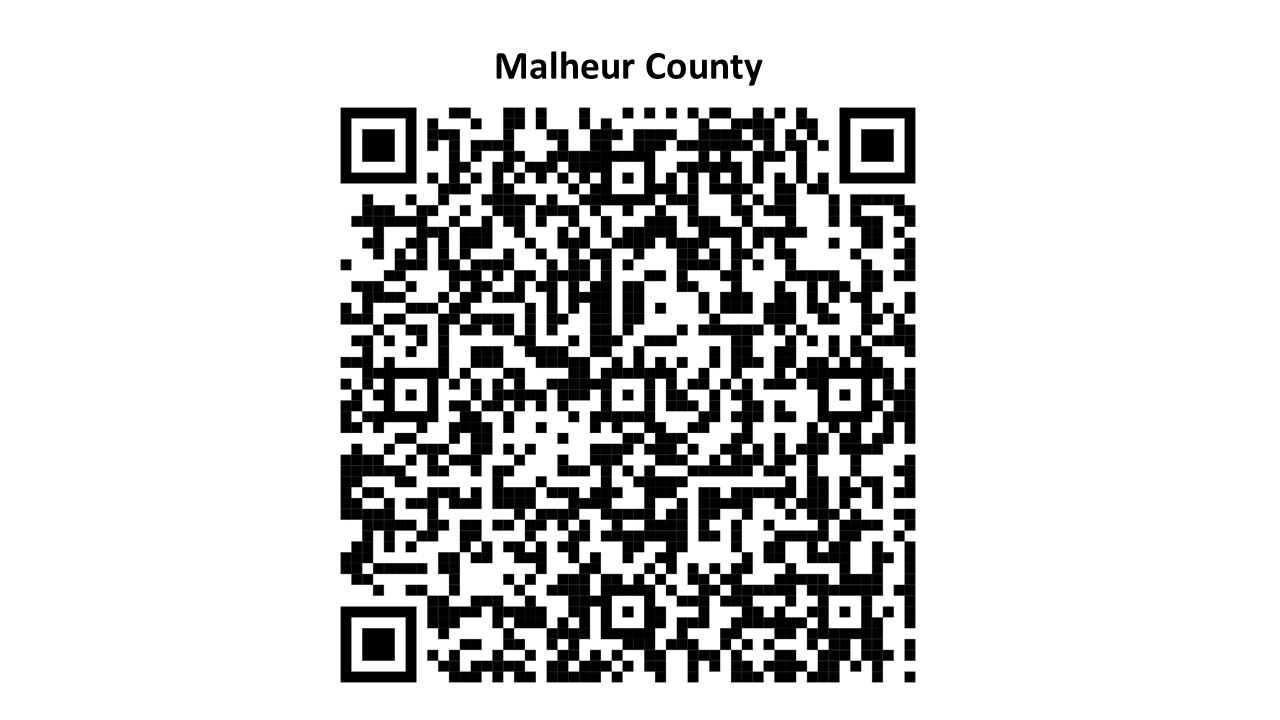 Orgen Code Oregon Explorer
