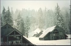 Fresh snow falling over the cabins and trees in the middle of June 1995.