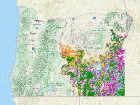 Oregon Explorer